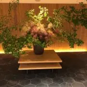 こーら