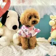 Lucky Girlの画像