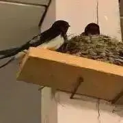 ricojunの画像