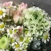 nocoの画像