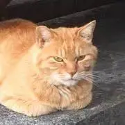 まろ　値段交渉○質問○の画像
