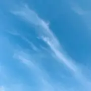 MKNの画像