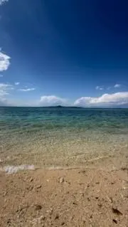 きりん