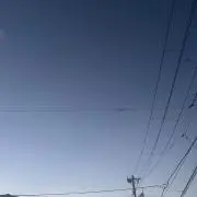 えぬの画像