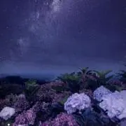 雷雨