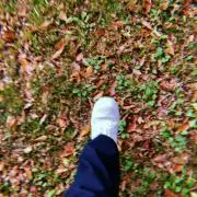 どうもどうも
