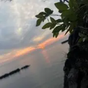 S⃨I⃨Z⃨U⃨の画像