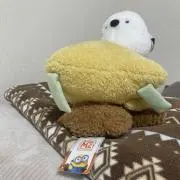 り◎プロフ確認お願いいたしますの画像