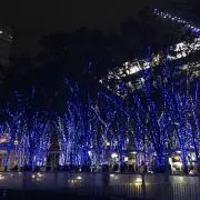 プロフ必読即購入NG★ルイール★