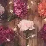 ❁Nana❁プロフご確認くださいの画像