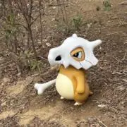 Yota_0813の画像