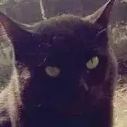 ☆よっちん☆の画像