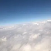 たけだの画像