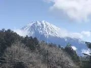 tomo