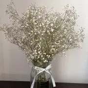 チェルチ
