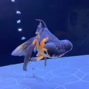 デメキンくん