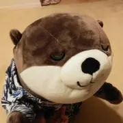 ちこの画像