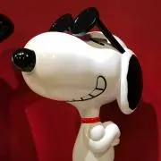 たかしの画像