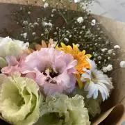 みかんの画像