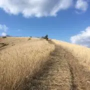 ユウスケの画像