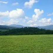 sani
