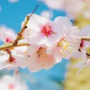 mai✩°。⋆⸜(*˙꒳˙*  )⸝
