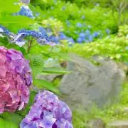 mooca‎︎✿の画像