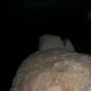 まつもとけんたろう