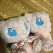 みゅうの画像
