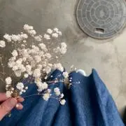 ねここの画像