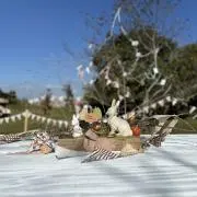 まあさの画像