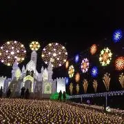 カコの画像