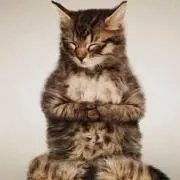 クリア