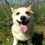 じじぃ