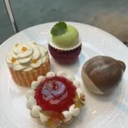 ぽこの画像