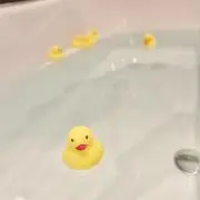 まるちゃんの画像