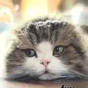 ＊Rai＊