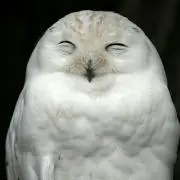 たけゆー
