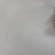 kppの画像