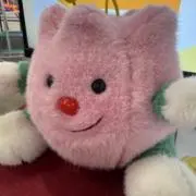 なー【24時間以内発送⭐︎】の画像