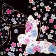 .*・゜蝶々　.゜・*.
