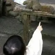 エドポロレオン