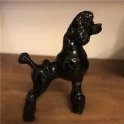 Dogladyの画像