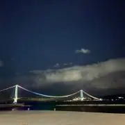 アイザック【相場が上がっても必ず発送】の画像