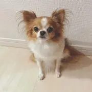 りん