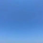 Yo