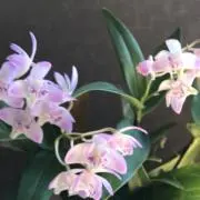 onnmi  断捨離始めます‼️の画像