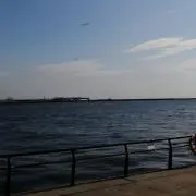 ポテトサラダの画像
