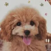 Sei♪