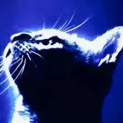 やまちゃ